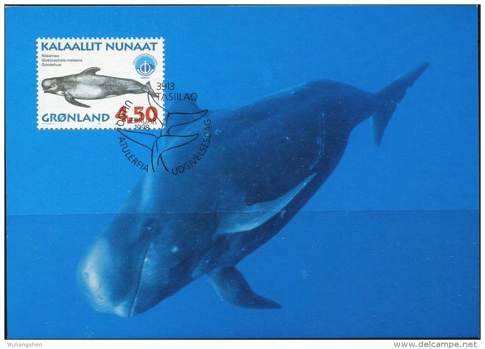 PA1180 Greenland 1998 Whale Maximum Card MNH - Lettres & Documents