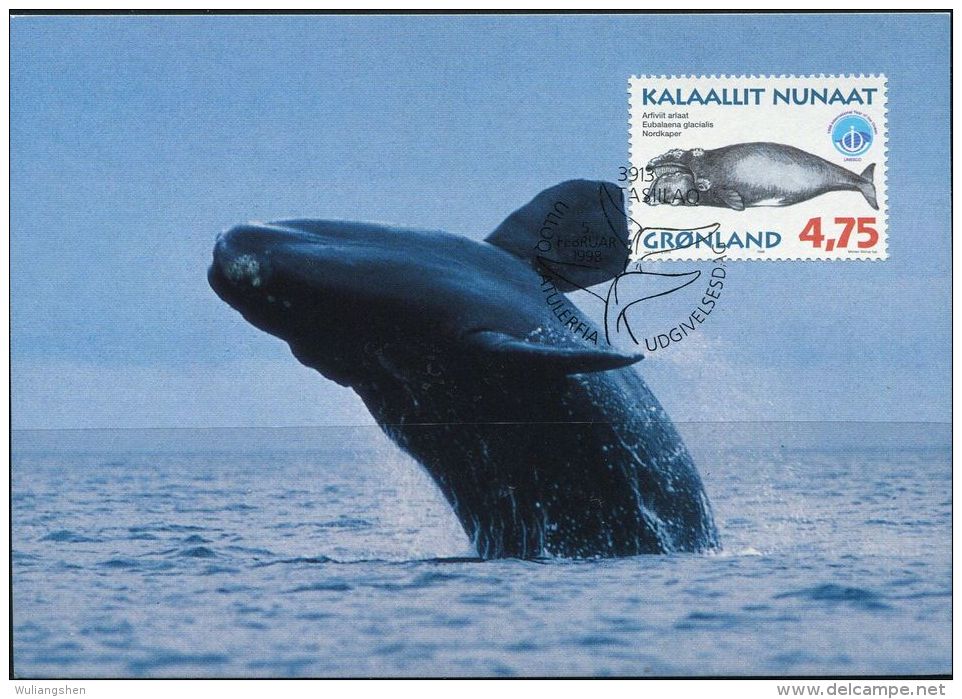 PA1181 Greenland 1998 Whale Maximum Card MNH - Lettres & Documents