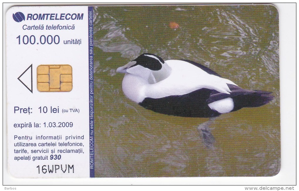 Romania   , Phonecards   , 2008 , Birds ,  Used - Other & Unclassified