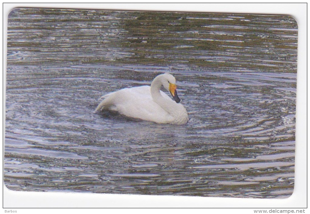 Romania   , Phonecards   , 2008 , Birds ,  Used - Other & Unclassified