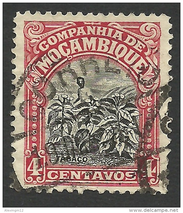 Mozambique Company, 4 C. 1925, Scott # 118, Used - Mozambique