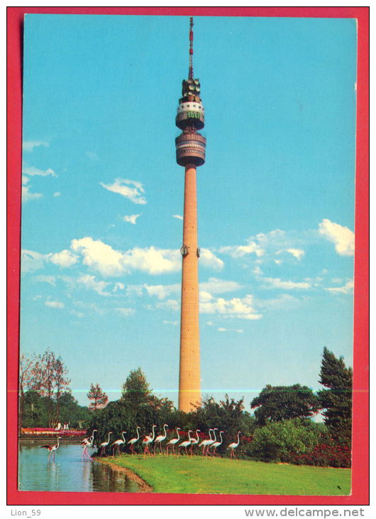 161519 / DORTMUND - Flamingo BIRD , TV  TELEVISION TOWER , WESTFALENPARK Fernsehturm 220 M - Germany Allemagne - Dortmund