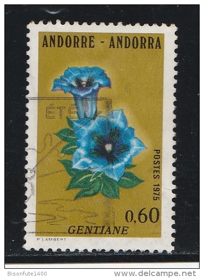 Andorre Français 1975 - Timbres Yvert & Tellier N° 243 - 244 - 245 Et 246 - Usados