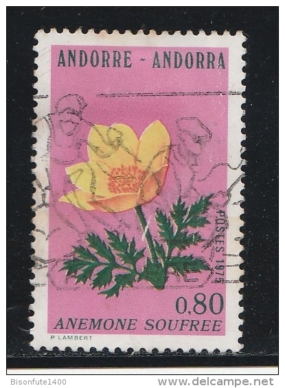 Andorre Français 1975 - Timbres Yvert & Tellier N° 243 - 244 - 245 Et 246 - Usados