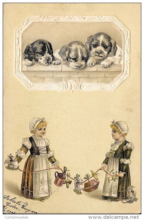 [DC5275] CARTOLINA - TRE CUCCIOLI IN RILIEVO - CANI - BAMBINE CHE GIOCANO - Viaggiata 1903 - Old Postcard - Cani