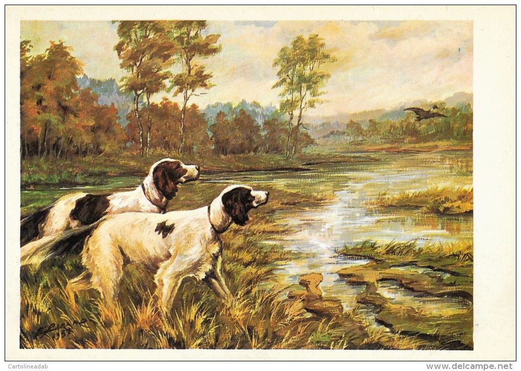 [DC5283] CARTOLINA - CANI DA CACCIA - Non Viaggiata - Old Postcard - Cani