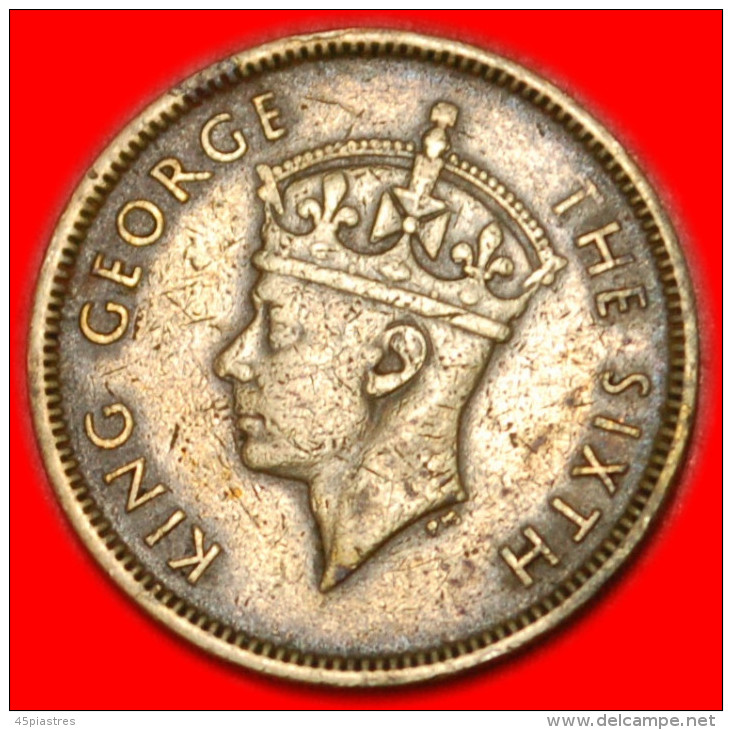 * GREAT BRITAIN (1948-1951) HONG KONG  10 CENTS 1949! GEORGE VI (1937-1952)  LOW START NO RESERVE! - Hongkong