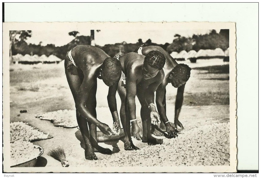 CAR26   --   OUBANGUI  ( A.E.F. )   --   SECHAGE DE LA PATE DE MANIOC  --   GIRLS - Centraal-Afrikaanse Republiek