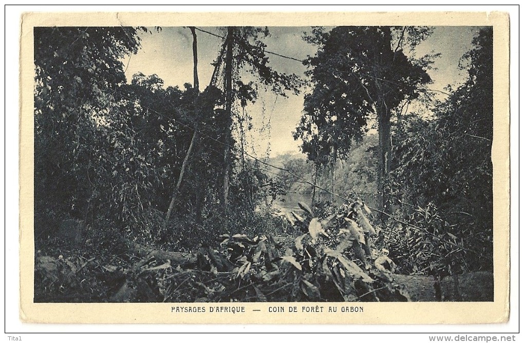 S2310 - Paysages D' Afrique - Coin De Forêt Au Gabon - Gabon