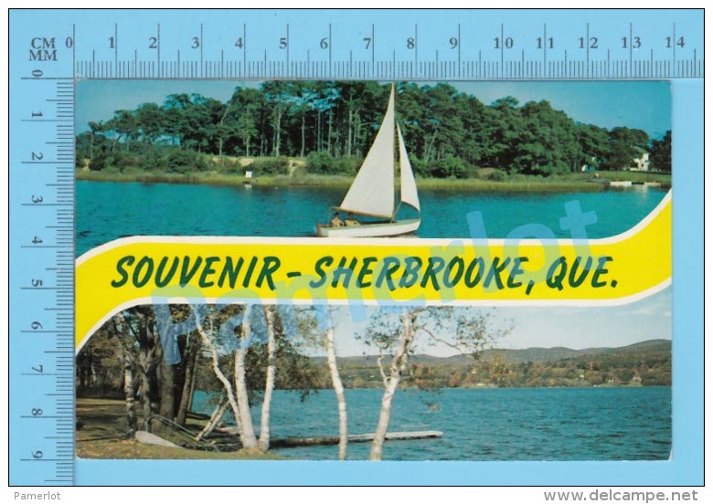 Sherbrooke ( Souvenir -Serbrooke Que, Postcard Carte Postale  ) P. Quebec Recto/Verso - Sherbrooke