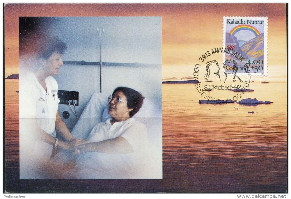 PA1255 Greenland 1992 Patient Care Maximum Card MNH - Lettres & Documents