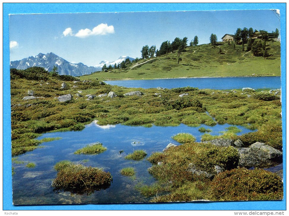 Mans1246, Petit Lac, Restaurant Du Tracouet Sur Nendaz, 13119, GF, Circulée 1968 - Nendaz