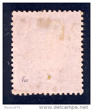 TIMBRE  *  N°58 De 1873 OBLITERE Avec Ou Sans Charnière   .VOIR RECTO VERSO - 1871-1875 Cérès