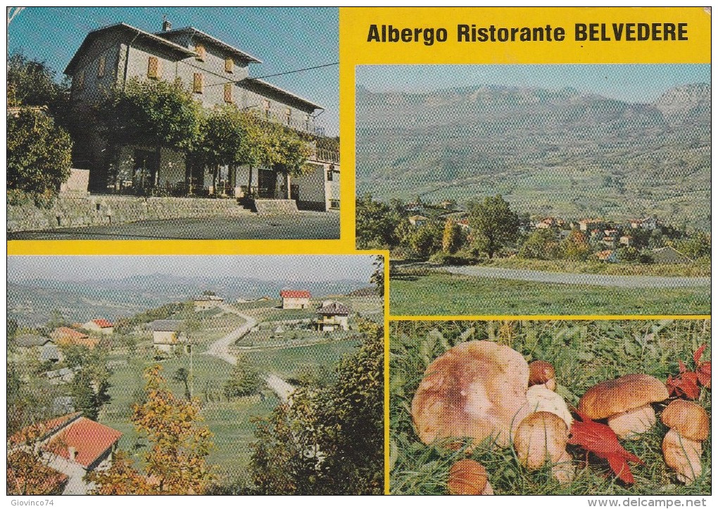 MODENA -  ROMANORO - ALBERGO RISTORANTE BELVEDERE - FUNGHI - Modena