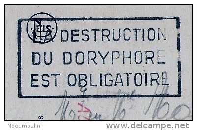 Flamme Postale -Vlagstempel : "La Destruction Du Doryphore Est Obligatoire" - Sellados Mecánicos