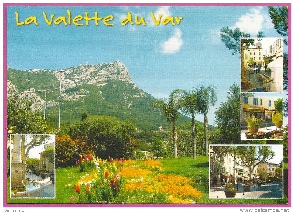 LA VALETTE DU VAR - Mont Coudon   / L70 - La Valette Du Var