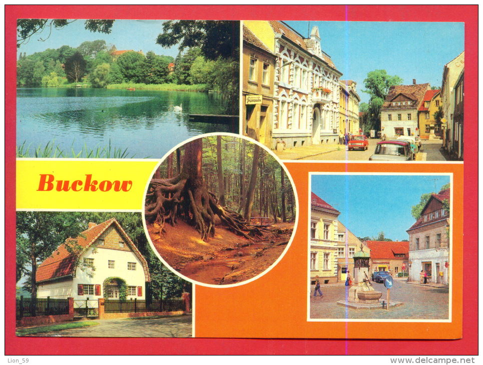 160420 / Buckow ( Märkische Schweiz ) ( Kr. Strausberg ) - SEE , CLARA ZETKIN STRASSE , LAKE SWAN - Germany Deutschland - Buckow