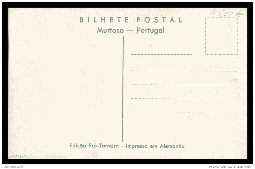 PORTUGAL - AVEIRO - MURTOSA - PARDELHAS - Ribeira Das Pardelhas ( Ed.Pro-Torreira/ Foto Guedes )carte Postal - Aveiro