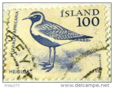 Iceland 1981 Pluvialis Apricaria Golden Plover Bird 100aur - Used - Oblitérés