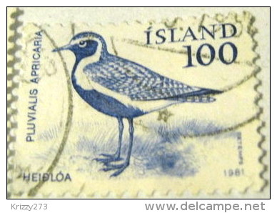 Iceland 1981 Pluvialis Apricaria Golden Plover Bird 100aur - Used - Oblitérés