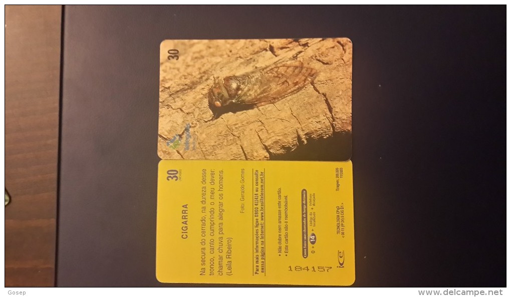 Brasil-CIGARRA-(telegias)-used Card - Ladybugs
