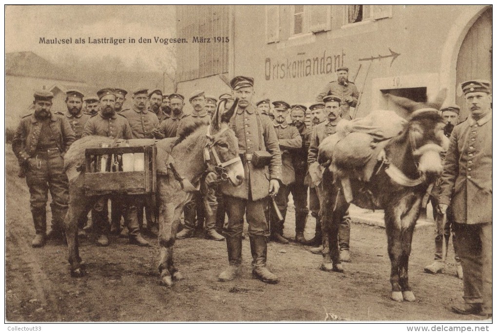 CPA Anes Mulets Porteurs De Charge Dans Les Vosges Armée Allemande Oblitération Kriegerheim Saarburg Sarrebourg - Guerre 1914-18