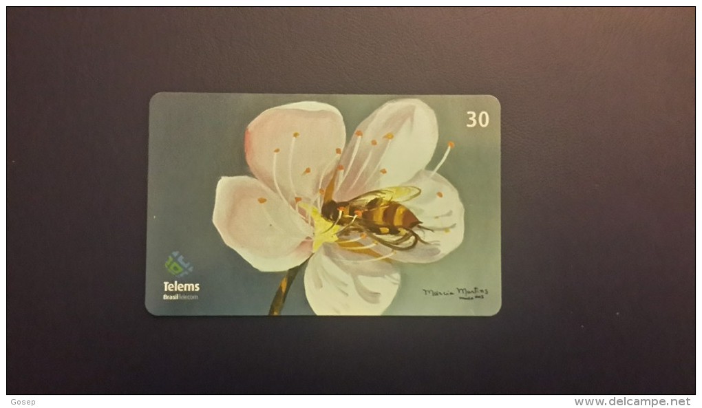 Brasil- Serie Artitas Regiinais-flores- Number 6/6-used Card - Bienen