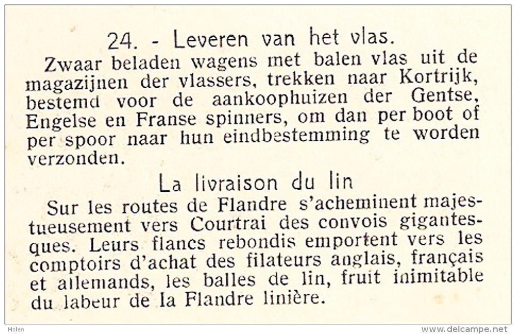 VLASTEELT LEVEREN VAN VLAS LIVRAISON DU LIN Attelage VANSTEENKISTE WEVELGEM CULTURE FLAX LEIN LINO LINHO PAYSAN     2583 - Wevelgem