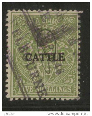 AUSTRALIA VICTORIA CATTLE  REVENUE 1927 5/- GREEN BF#12 - Revenue Stamps