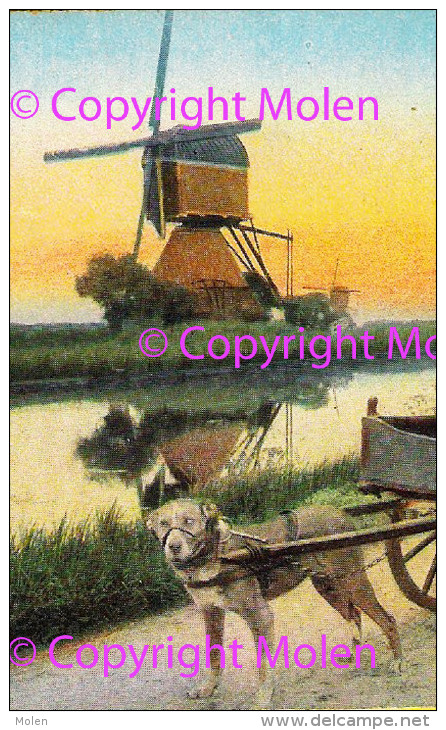 HONDENKAR MOLEN ZUID HOLLAND MOULIN ATTELAGE DE CHIEN * DOG DRAWN CART HONDEKAR VOITURE à CHIENS HUNDEKARRE 3486 - Spannen