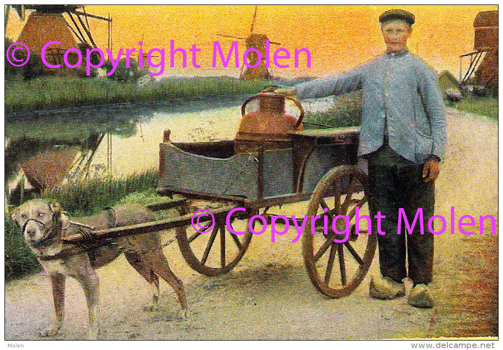 HONDENKAR MOLEN ZUID HOLLAND MOULIN ATTELAGE DE CHIEN * DOG DRAWN CART HONDEKAR VOITURE à CHIENS HUNDEKARRE 3486 - Spannen