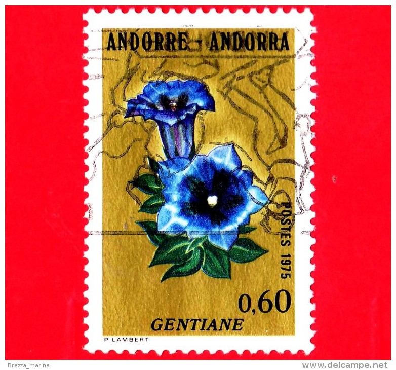 ANDORRA - Usato - 1975 - Fiori - Flowers - Fleurs - Genziana - Gentiane - 0.60 - Oblitérés