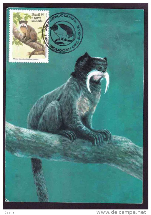 Brazil - Post Card / Maxi Card - 1994 - Monkeys, Saguinus  Bicolor - Briefe U. Dokumente