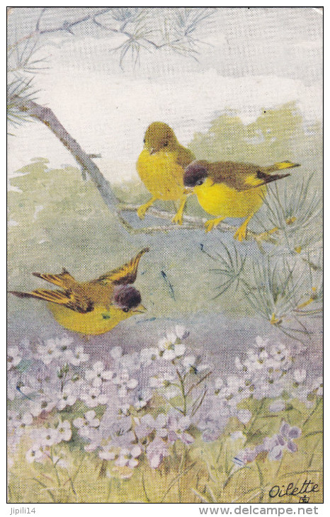 RAPHAEL TUCK OILETTE  BIRD AND BLOSSOMS - Tuck, Raphael