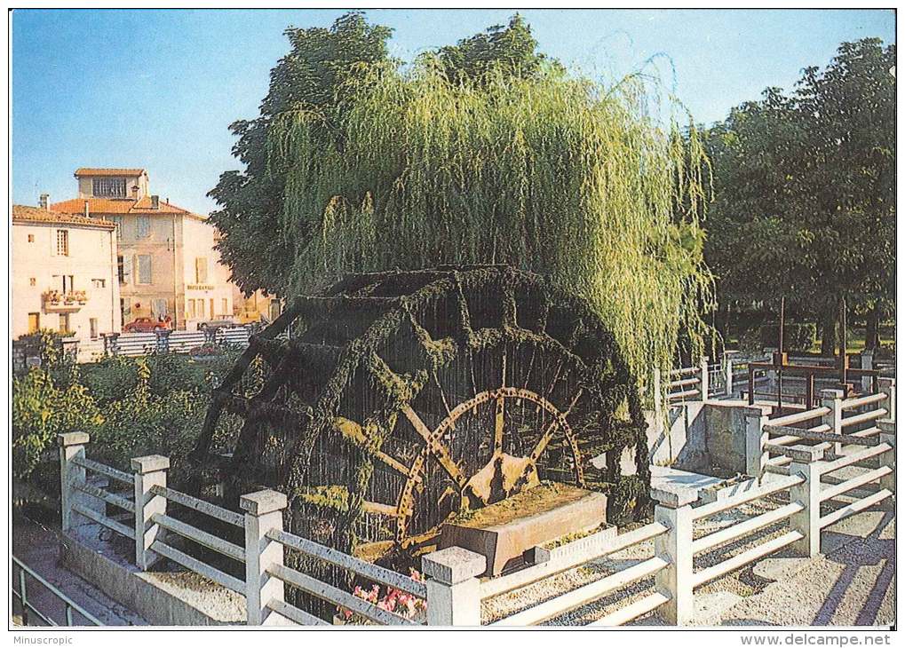 CPM 84 - L'Isle Sur Sorgue - La Grande Roue à Aubes Du Jardin Public - L'Isle Sur Sorgue