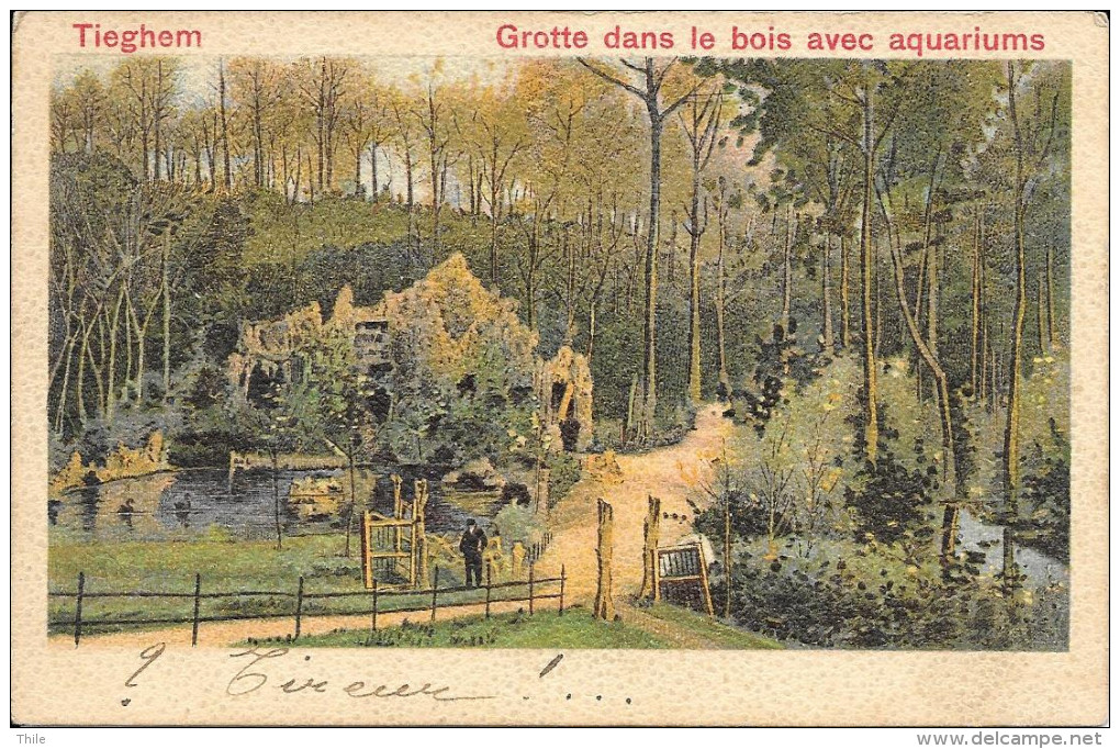 TIEGHEM - Grotte Dans Le Bois Avec Aquariums - Anzegem