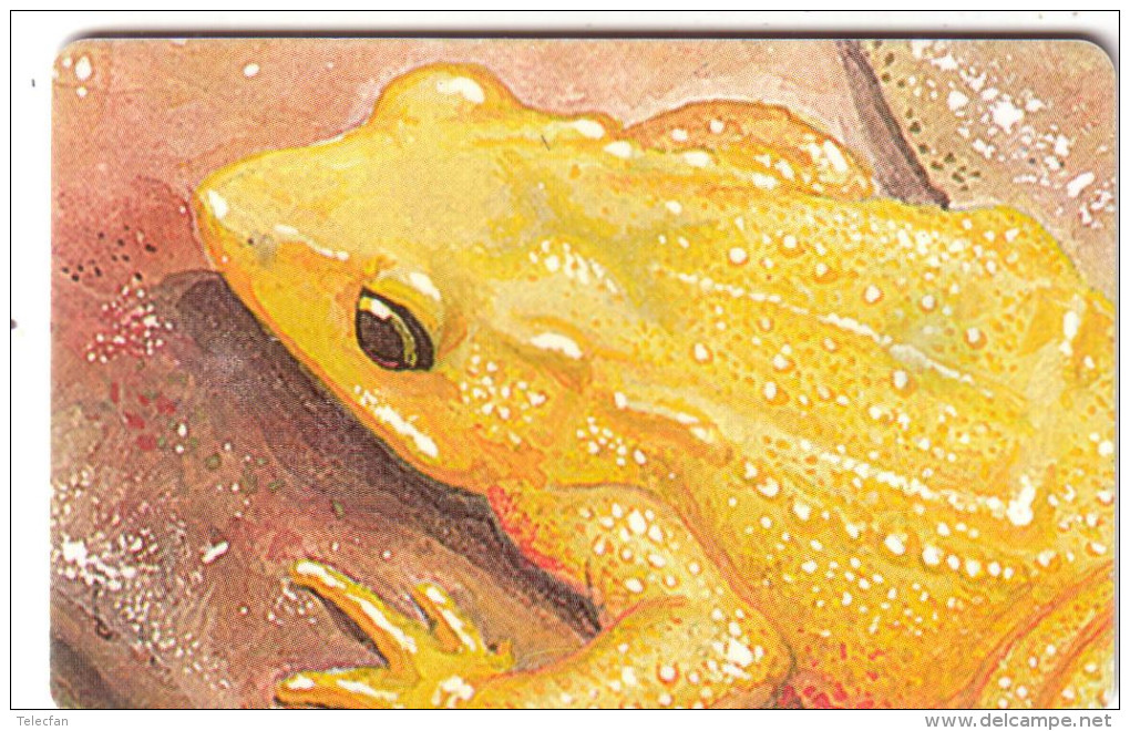 VENEZUELA GRENOUILLE FROG 2000 BS UT - Autres & Non Classés