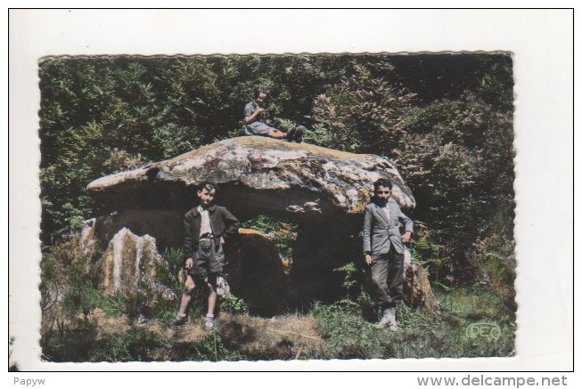 Envirosn De St SULPICE LES FEUILLES - Vallée De La Benaize - Le Dolmen De La Pierre Levée - Saint Sulpice Les Feuilles