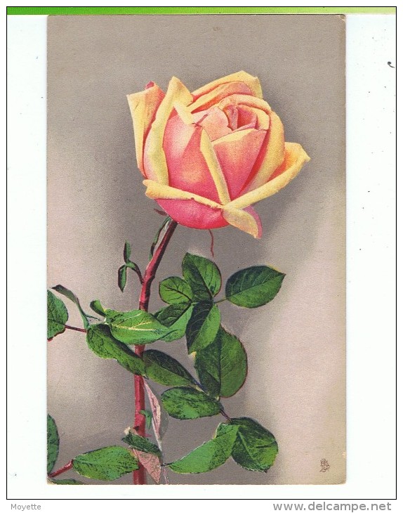 CPA-FANTAISIE-FLEURS -1 ROSE-RAPHAEL TUCK- - Tuck, Raphael