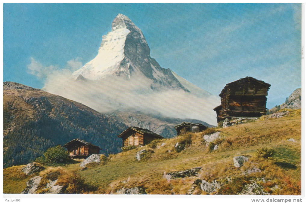 ZERMATT   WINKELMATTEN  MIT  MATTERHORN               (VIAGGIATA) - Matten Bei Interlaken