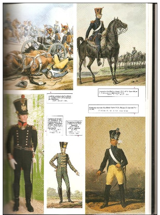 Napoléon Et Ses Soldats - L'Apogée De La Gloire (1804-1809) - Ouvrage Très Documenté  -nbres Illustrations( Voir Descrip - Histoire