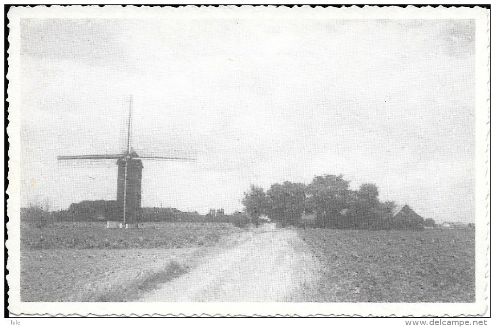 HUISE - Koutermolen - Moulin à Vent - Zingem