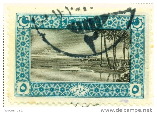 TURKEY  -  1917  Pictorial Issue  5pi  Used As Scan - Oblitérés