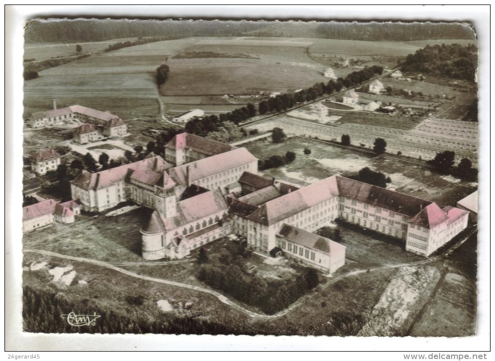 CPSM BITCHE (Moselle) - Le Collège Saint Augustin : Vue Aérienne - Bitche