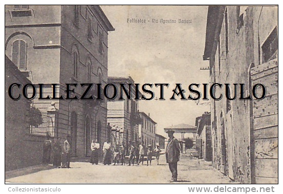 3-4046- Follonica - Via Agostino Bertani - Grosseto - F.p. Viaggiata 1919 - Grosseto