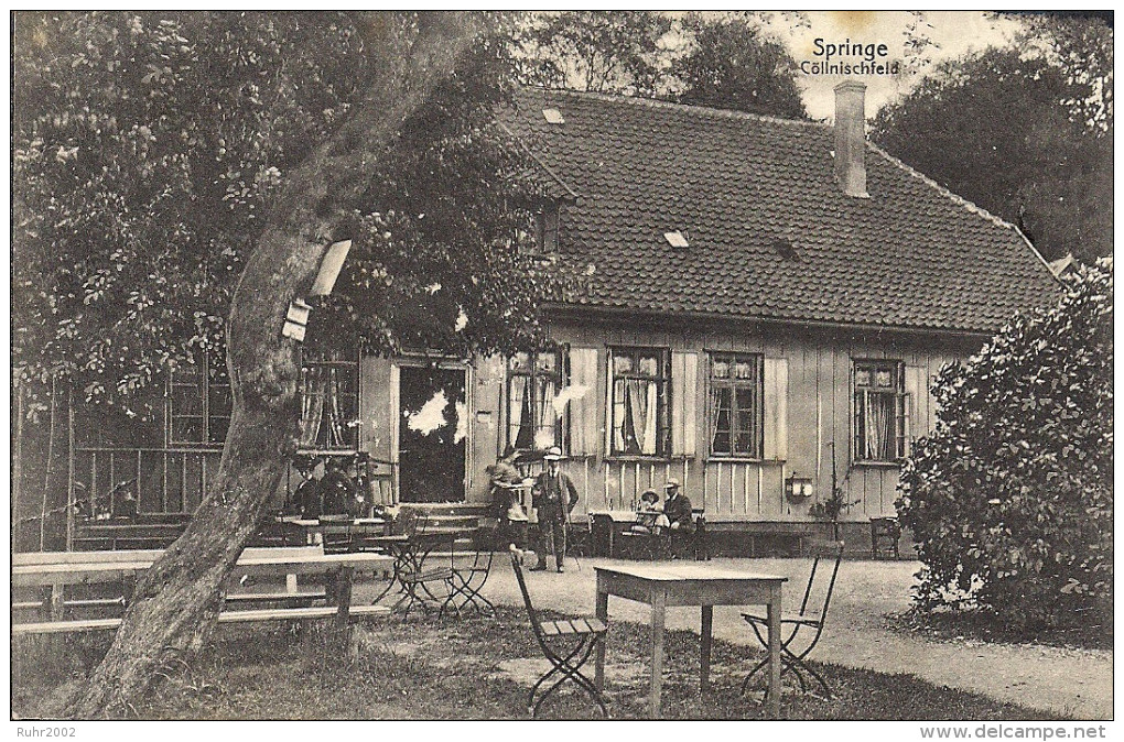 Springe - Cöllnischfeld (1911) - Springe