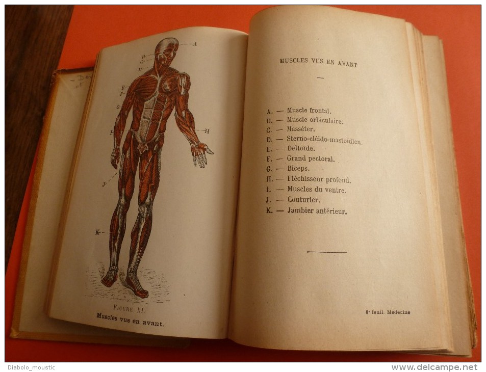 1913 Médecine :Traité théorie et pratique de médecine et pharm. usuelle hygiène et méd. légale av figures couleurs