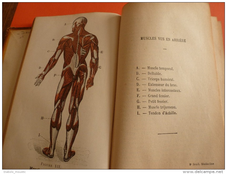 1913 Médecine :Traité théorie et pratique de médecine et pharm. usuelle hygiène et méd. légale av figures couleurs