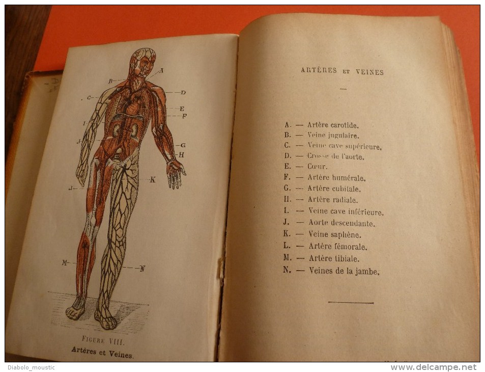 1913 Médecine :Traité théorie et pratique de médecine et pharm. usuelle hygiène et méd. légale av figures couleurs