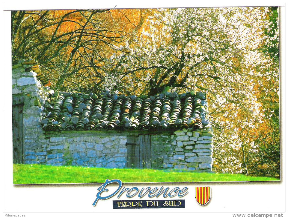 Lot 40 CPM Provence Neuves Identiques Cabanon En Pierres Et Cerisiers En Fleurs - 5 - 99 Postkaarten